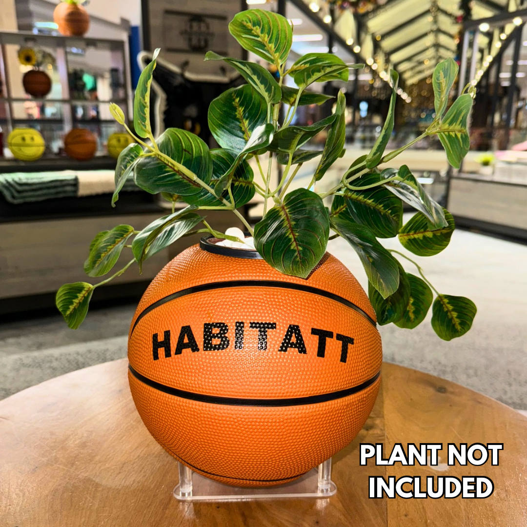 Habitatt Basketball Planter/Holder