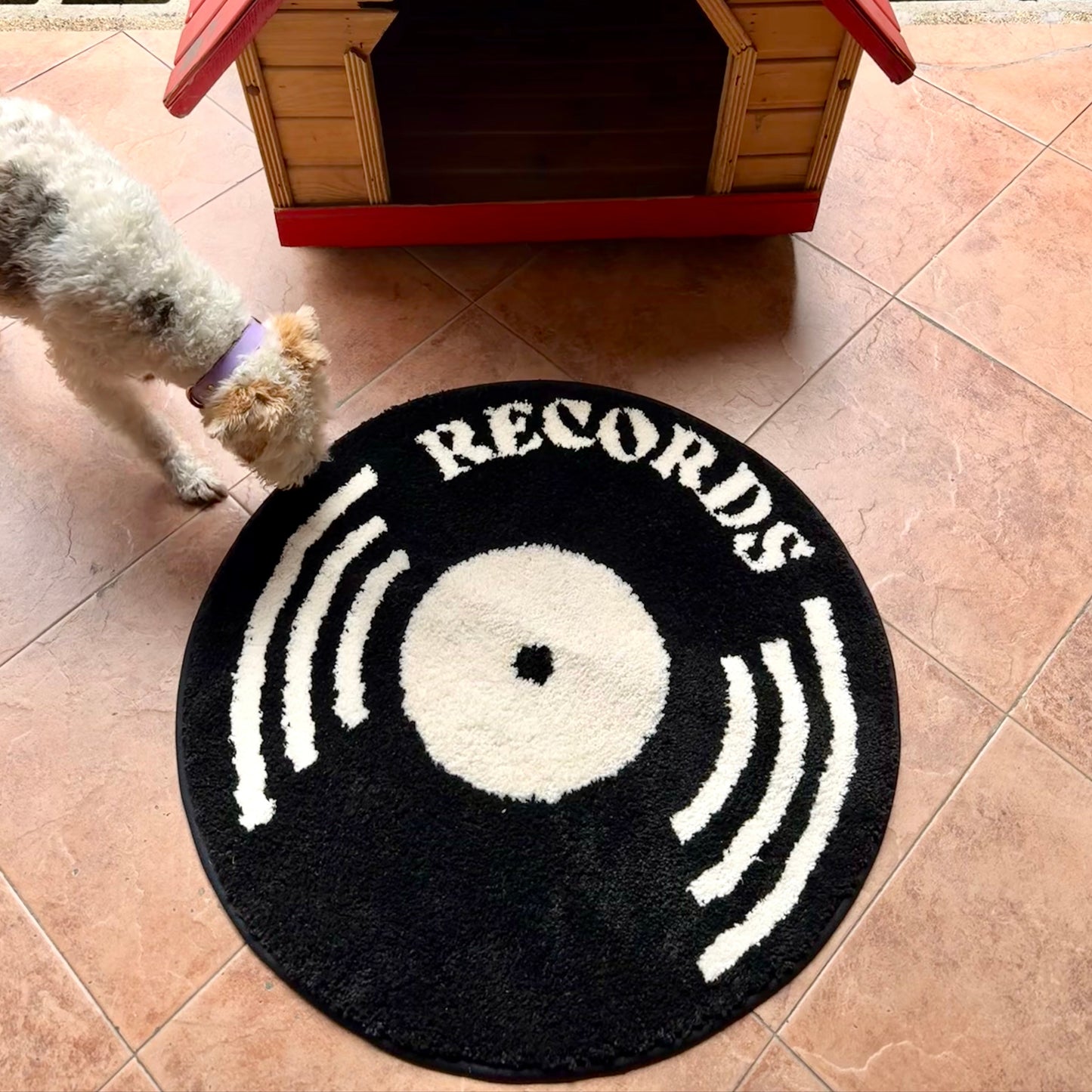 Records Rug