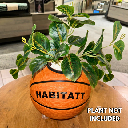 Habitatt Basketball Planter/Holder